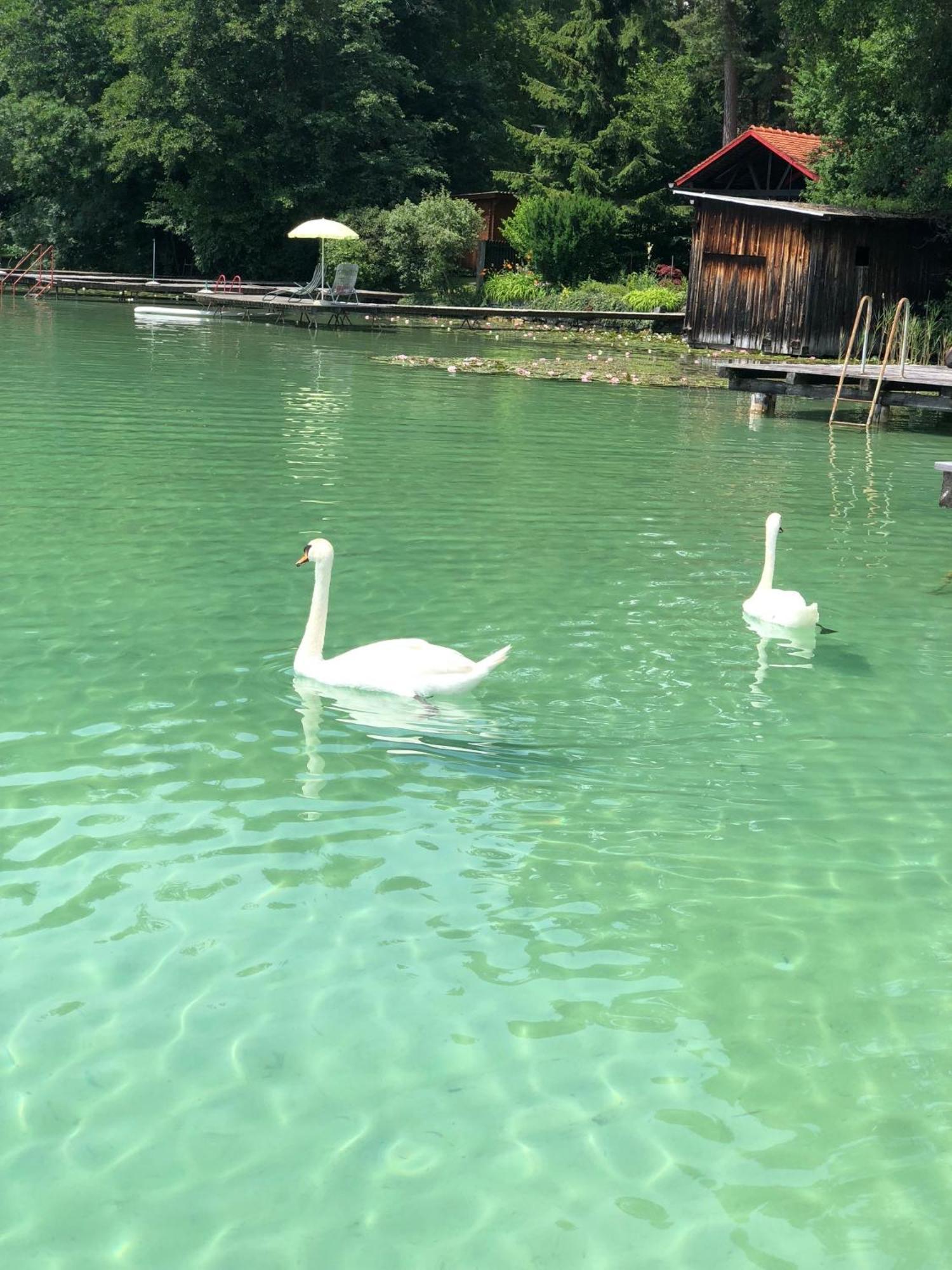 Hotel Alex Sankt Kanzian am Klopeiner See Екстер'єр фото